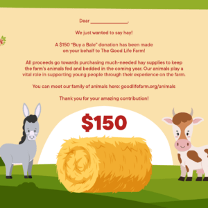Buy a bale ($150)