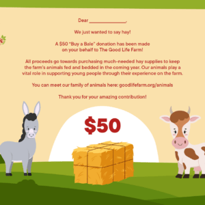 Buy a bale ($50)